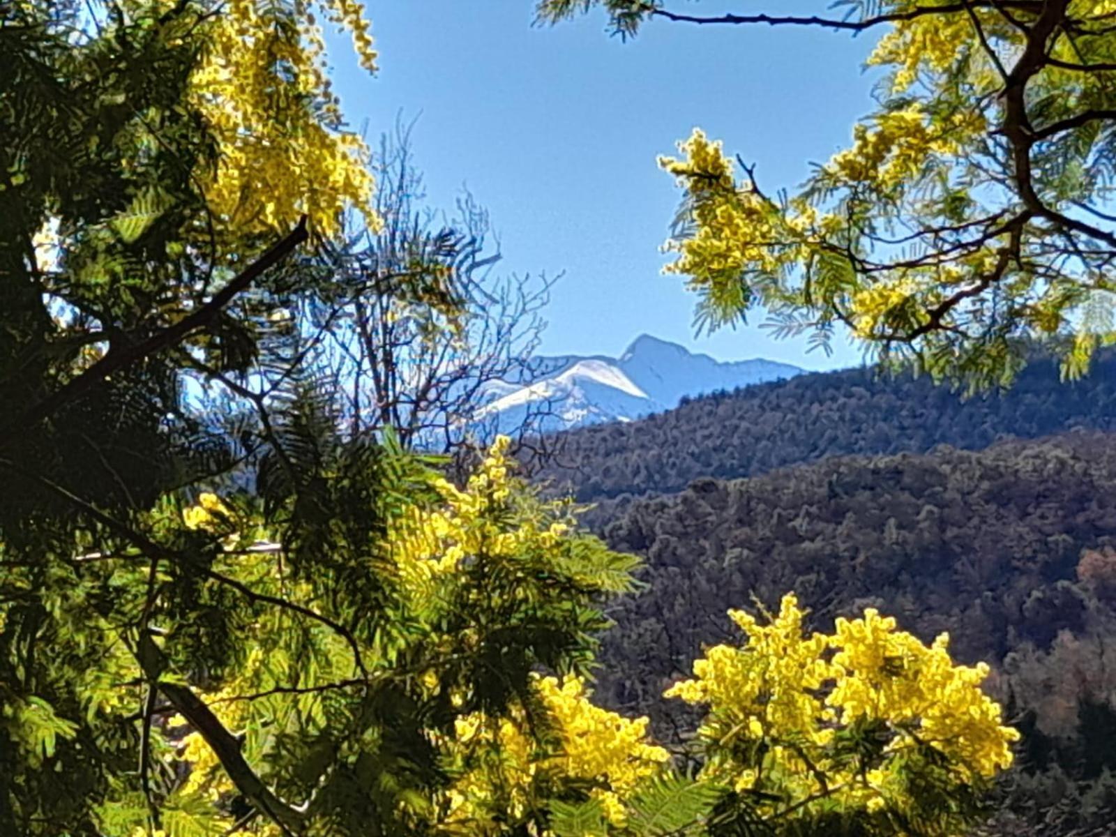 Domaine St Georges Villa Mosset Dış mekan fotoğraf